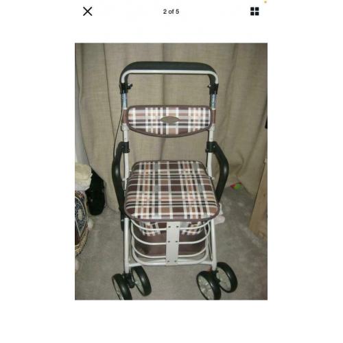 Walk and rest shopping trolley