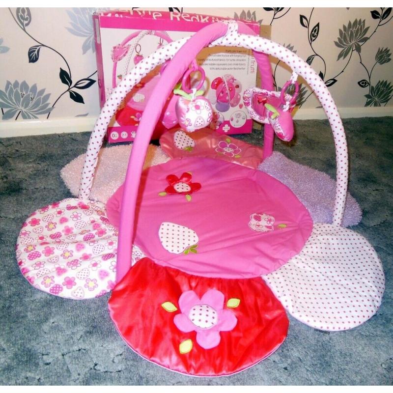 BABY PLAY GYM BY RED KITE