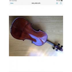 Violin (Full Size)