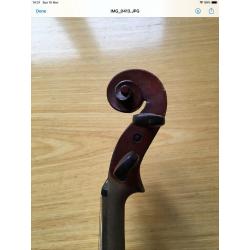 Violin (Full Size)