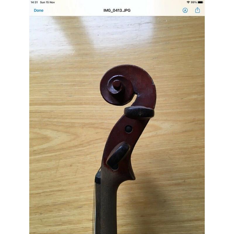 Violin (Full Size)