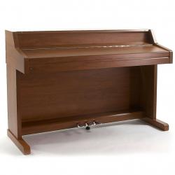 PL-550 Digital Piano by Gear4music, Dark Apple