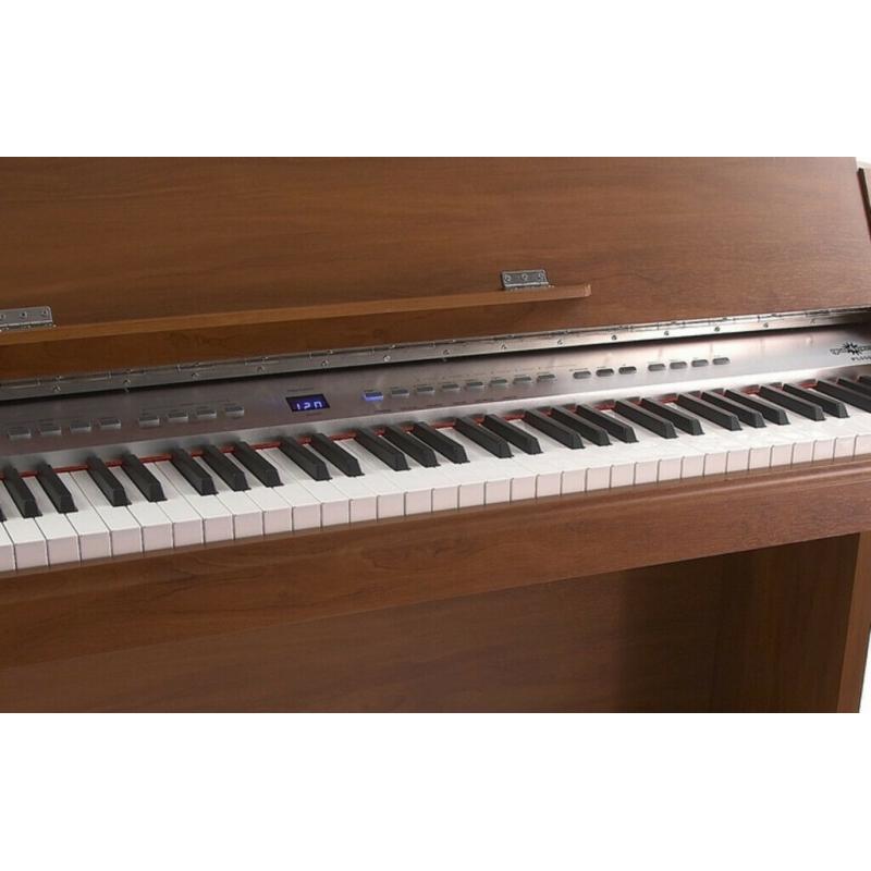 PL-550 Digital Piano by Gear4music, Dark Apple