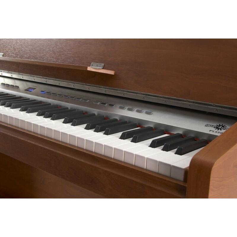 PL-550 Digital Piano by Gear4music, Dark Apple