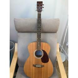 Tangle wood acoustic guitar