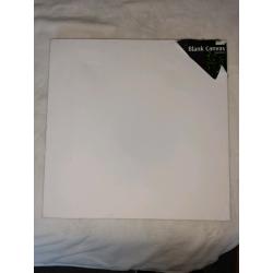 Variety of blank canvases