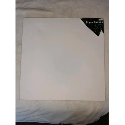 Variety of blank canvases