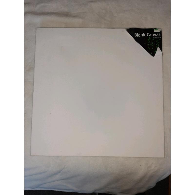 Variety of blank canvases