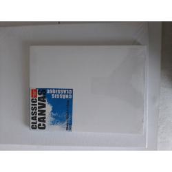 Variety of blank canvases