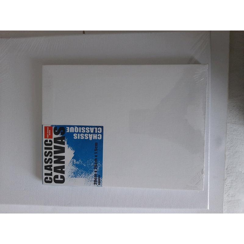 Variety of blank canvases