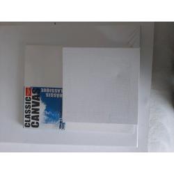 Variety of blank canvases