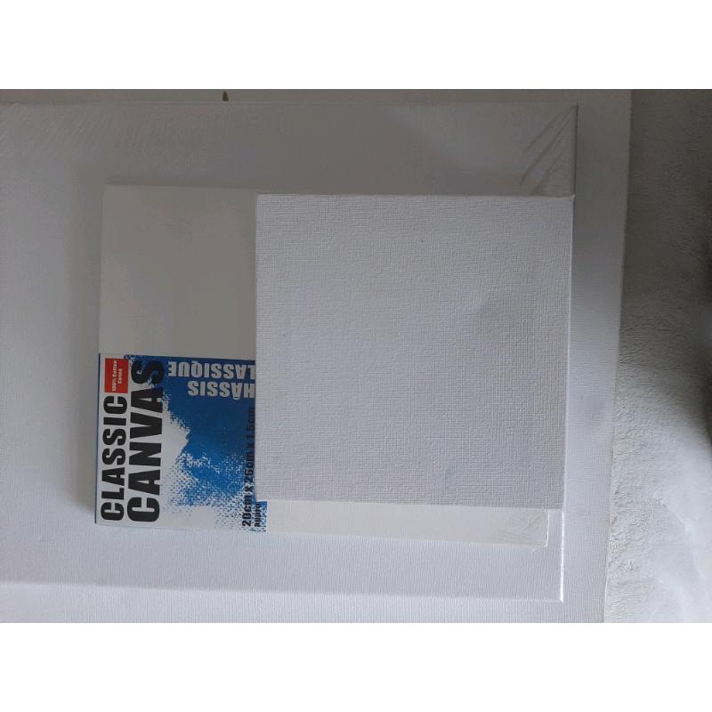 Variety of blank canvases