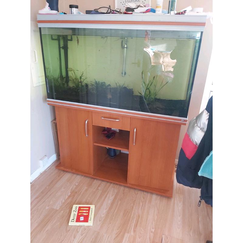 4ft rena fish tank