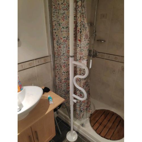 Disabled grab rails