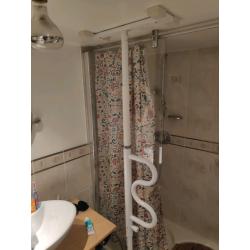 Disabled grab rails