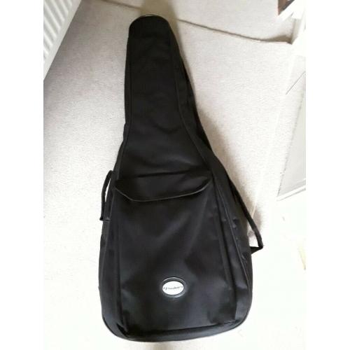Guitar and case