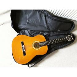 Guitar and case