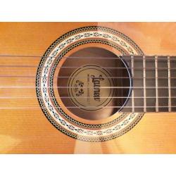 Guitar and case